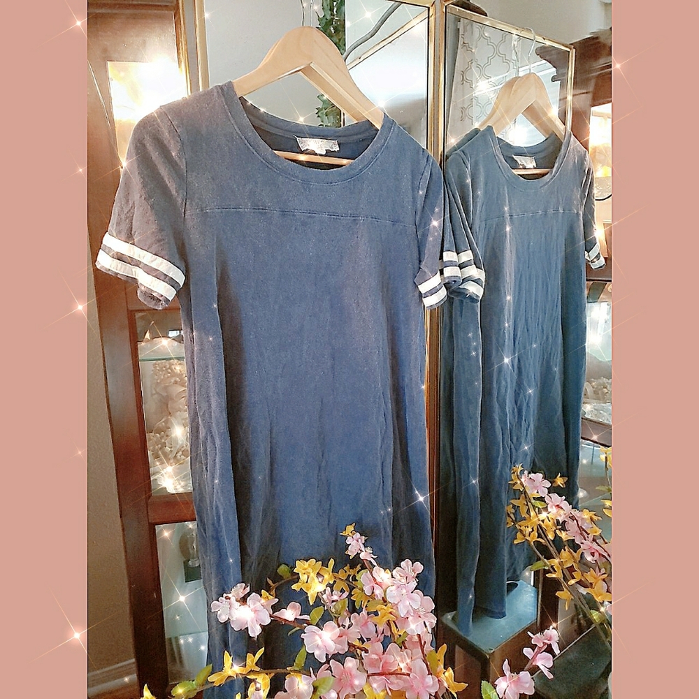 Pink Rose Vintage blue Shirt dress